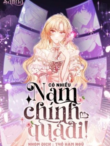 Có Nhiều Nam Chính Quá Đi! đọc online